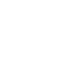 Holy Smash Burger